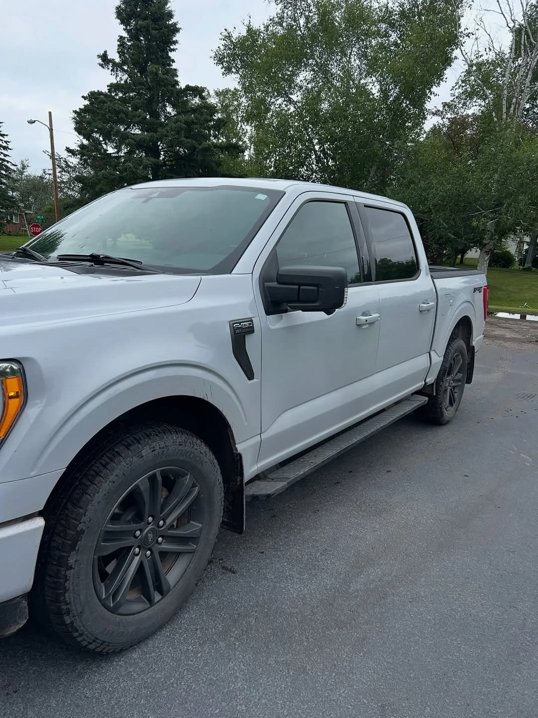 Ford F-150 outdoors before a D&D mobile detailing project